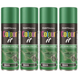 4X Grass Green Gloss Spray Paint 250ml