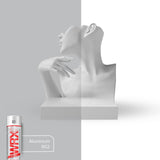 WRX Aluminium Spray Paint 400ml Spray Paint