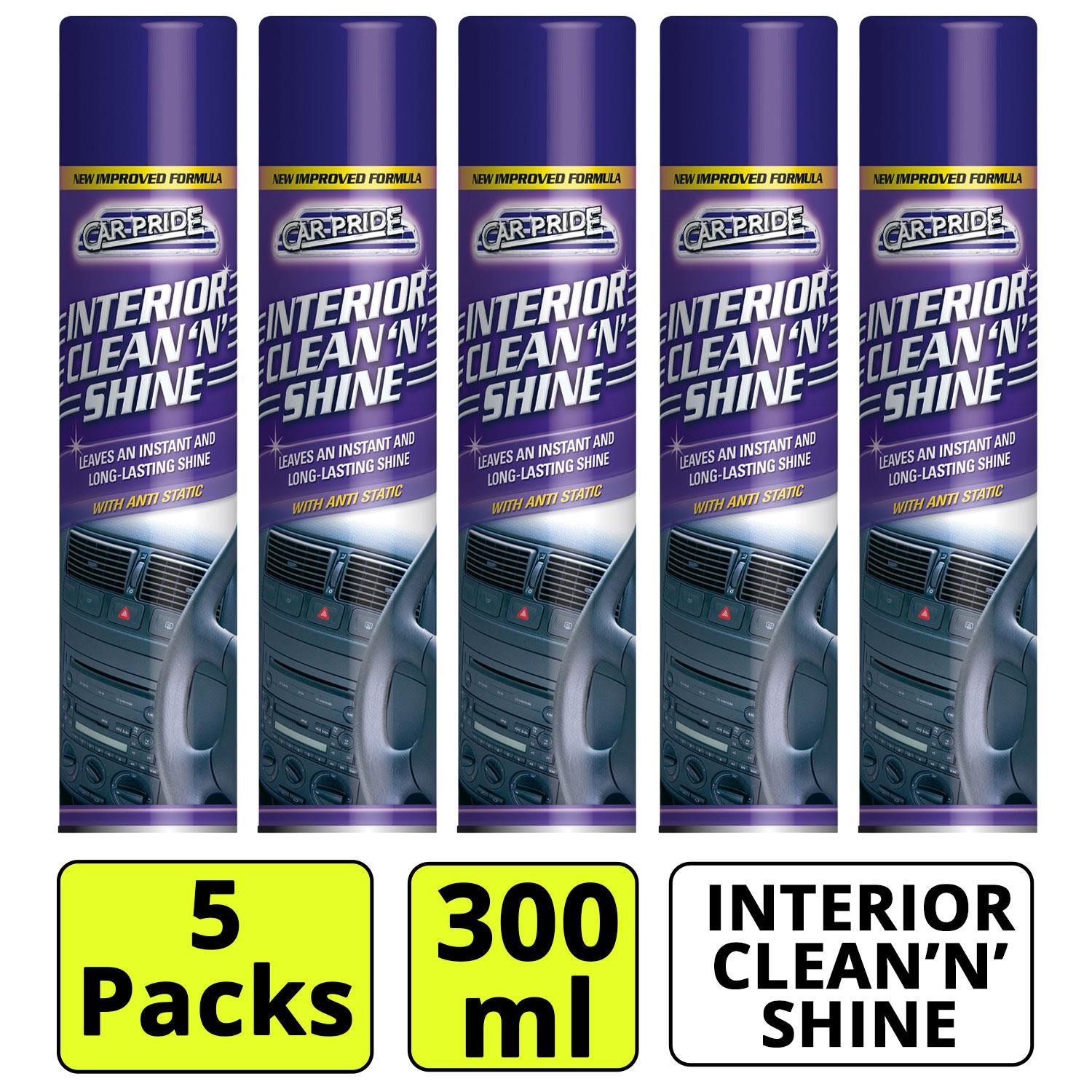 5X Interior Clean & Shine 300ml Spray Paint
