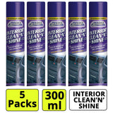 5X Interior Clean & Shine 300ml Spray Paint