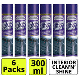 6X Interior Clean & Shine 300ml Spray Paint
