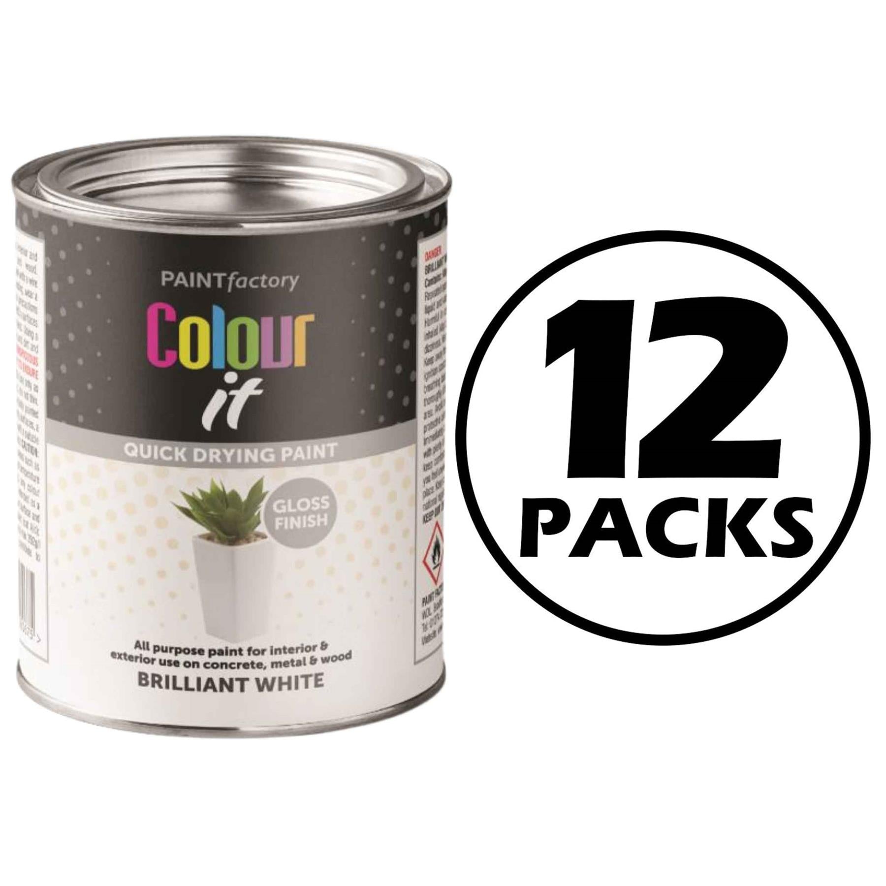 12X Paint Factory Brilliant White Gloss Tin Paint 300ml Tin Paint