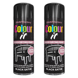 2X Paint Factory Black Satin Spray Paint 250ml Spray Paint