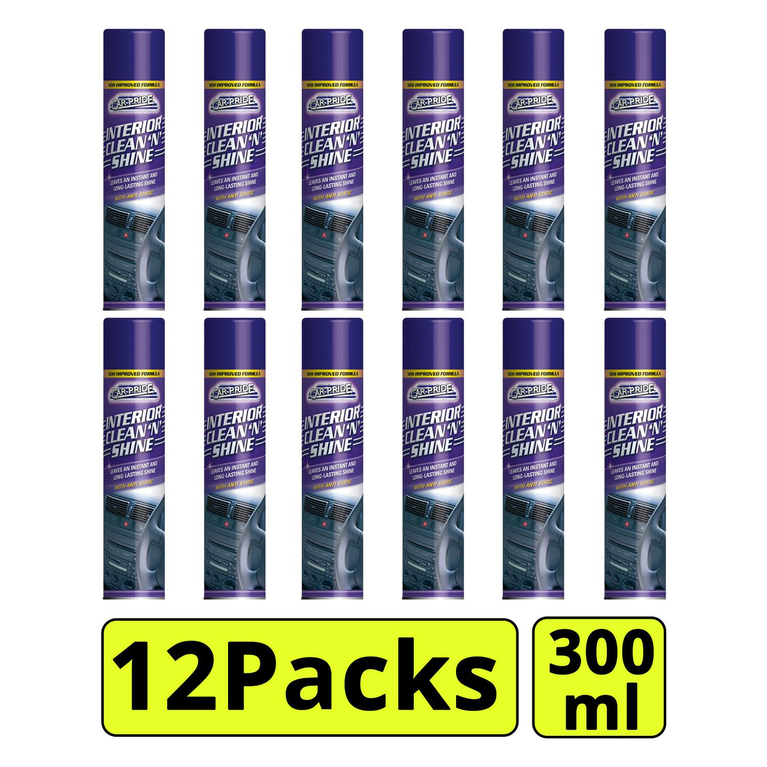 12X Interior Clean & Shine 300ml Spray Paint