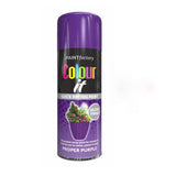 24X - Paint Factory Proper Purple Gloss Spray Paint 250ml