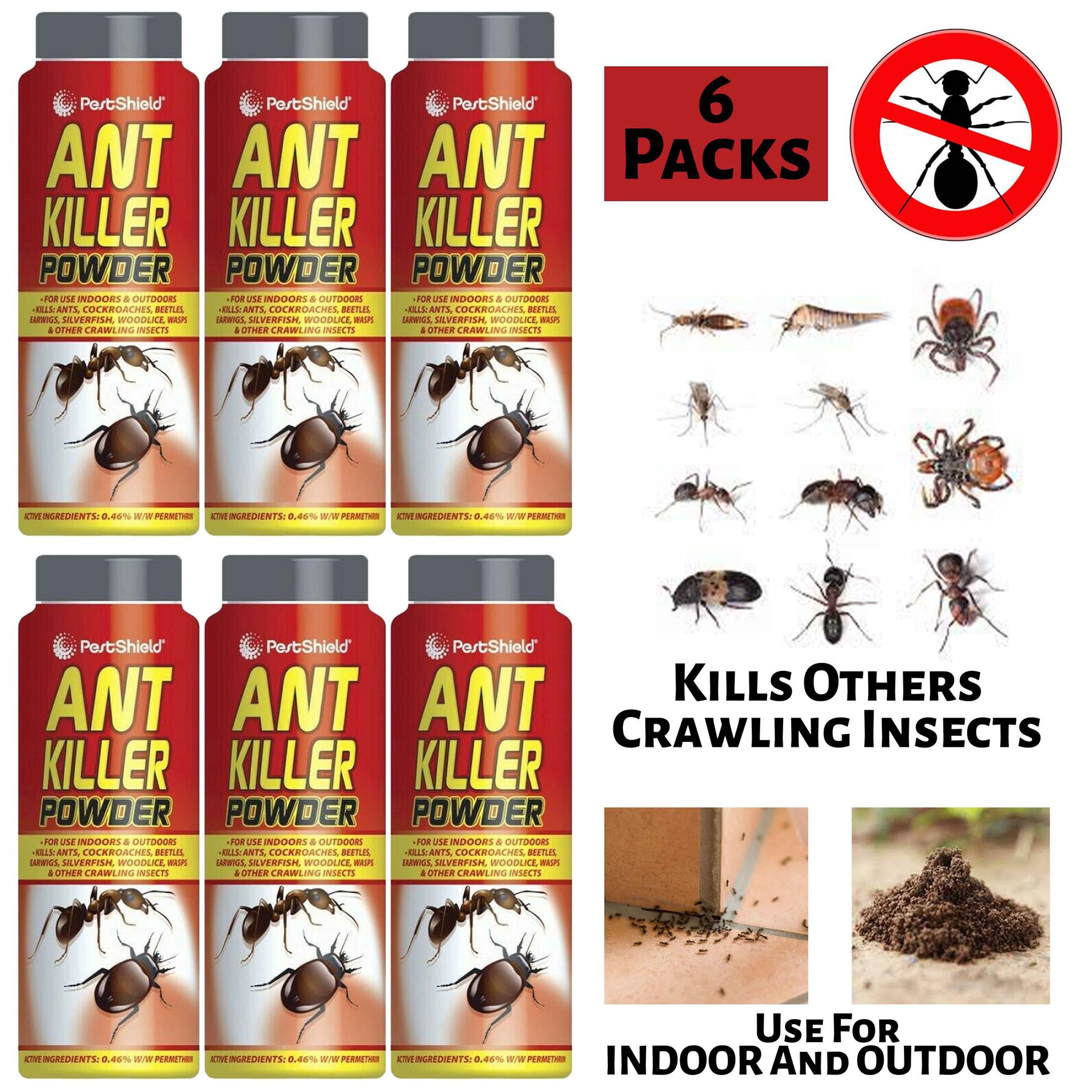 6X Pestshield Ant Killer Powder 150g Pest Control