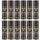 12X Paint Factory Black Matt Spray Paint 250ml