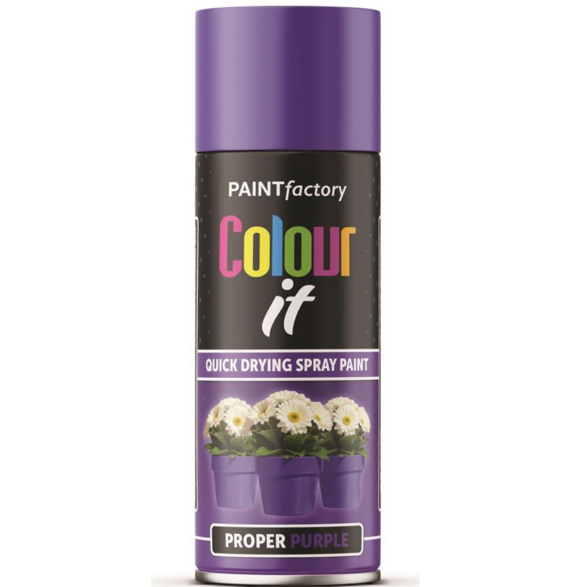 Paint Factory Proper Purple Gloss Spray Paint 400ml