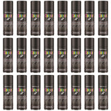 24X - Paint Factory Black Satin Spray Paint 250ml