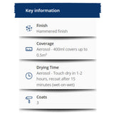 Hammerite Hammered Black Paint 750ml With 1" Brush | Direct Retail Outlet