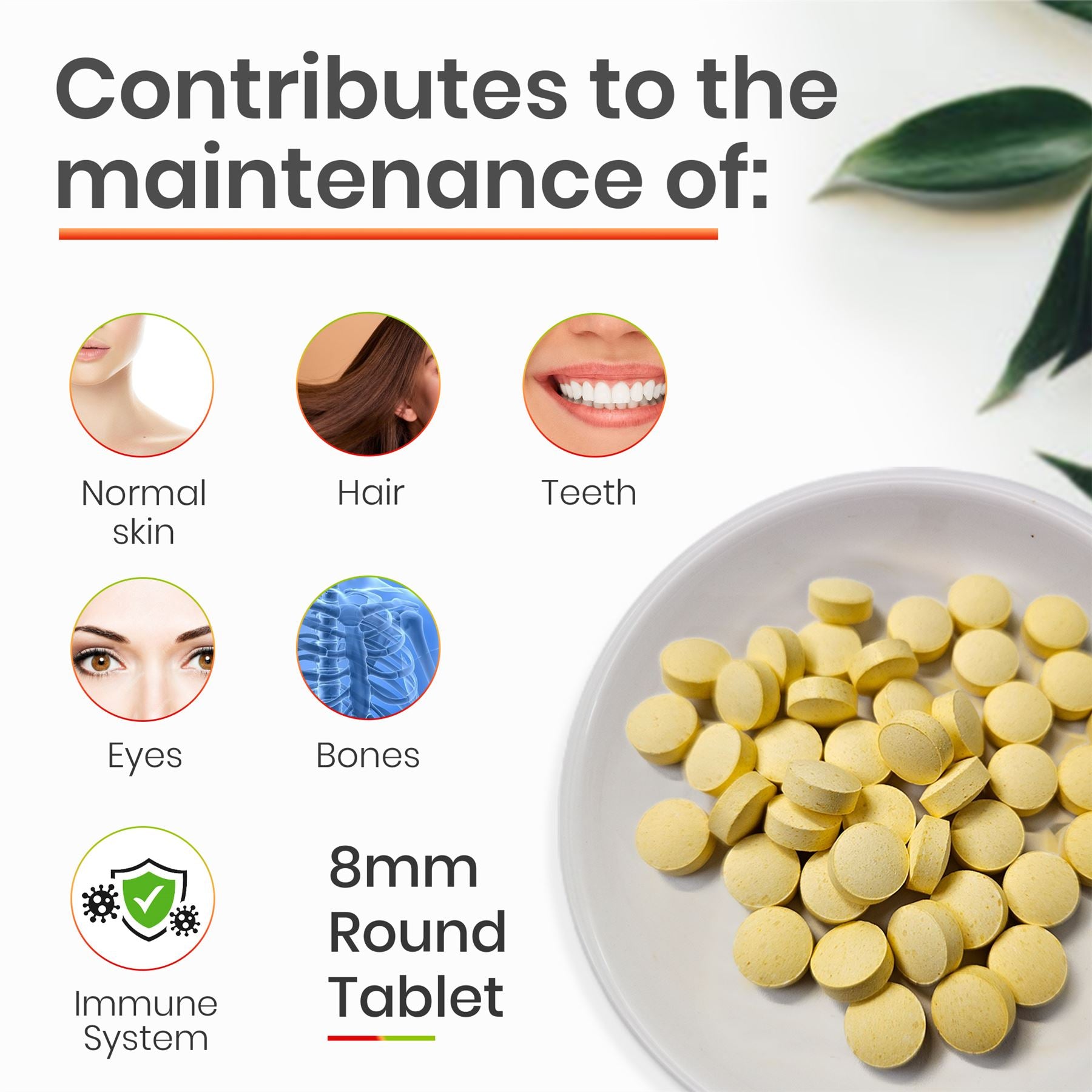 Multi Vitamins - 180 Tablets Multivitamins