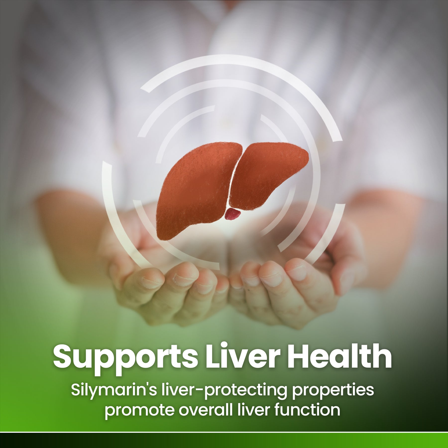 Milk Thistle 90 Tablets 4000mg