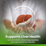 Milk Thistle 90 Tablets 4000mg