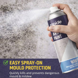 Hand holding a can of rapide anti-mould paint spray over a wall with mold growth.