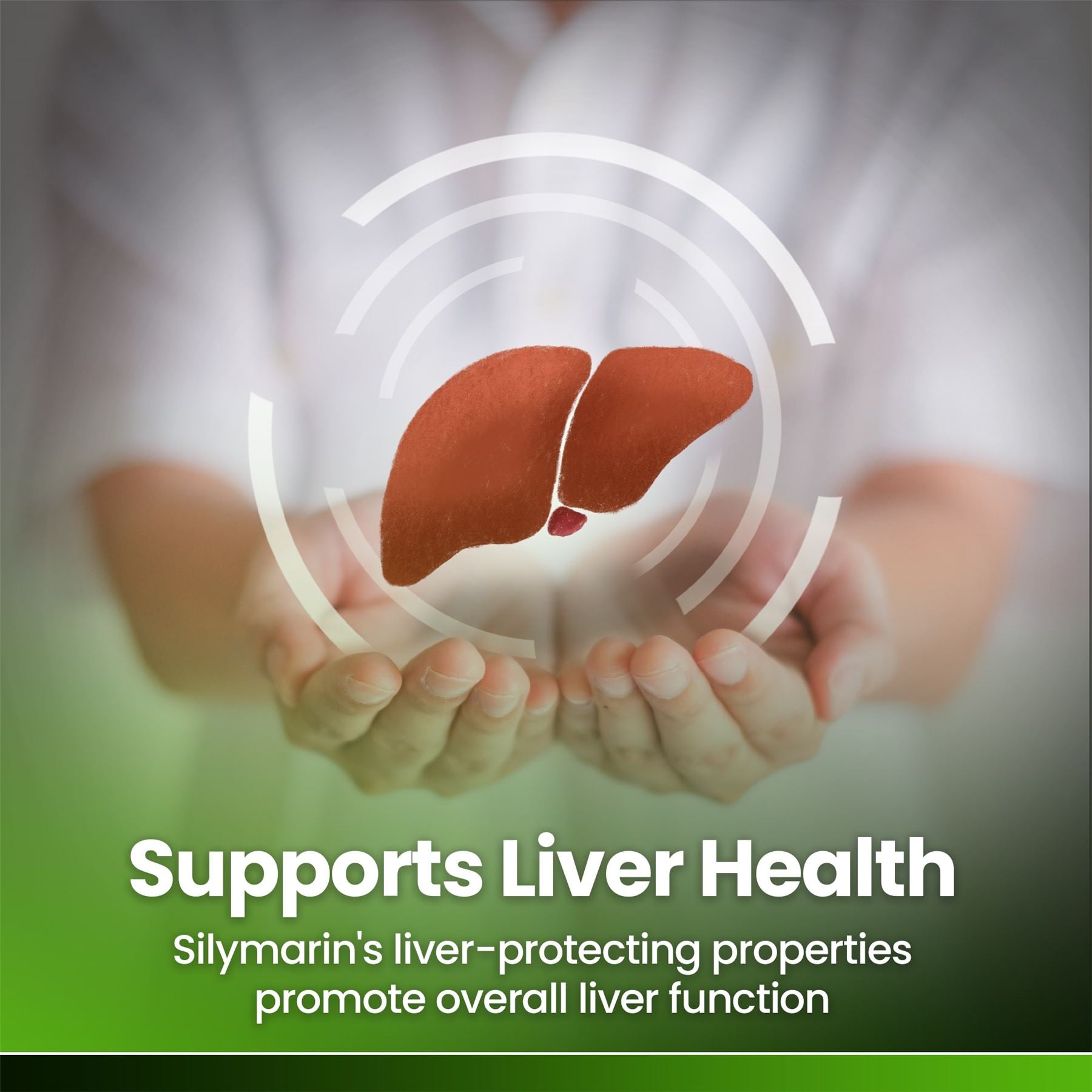 Milk Thistle Extract 4000mg - 60 Tablets Milk Thistle