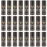 24X - Paint Factory Black Gloss Spray Paint 250ml