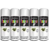 Paint Factory brilliant white gloss spray paint cans with quick drying formula for indoor use